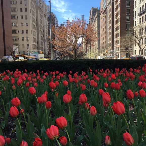 Meet your Posher, Melissa - Picture 1 of 1